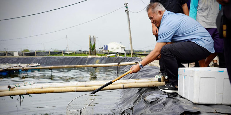 Ikut Panen Ikan, Wamenkop Pastikan Koperasi Siap Wujudkan Program Ketahanan Pangan